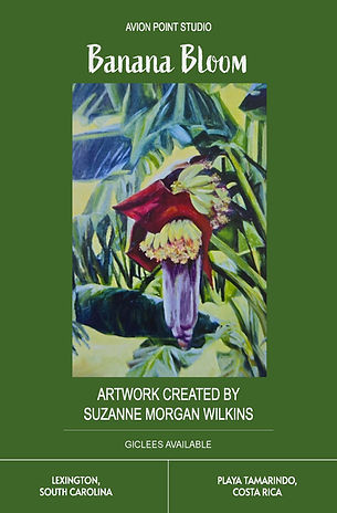 Banana Bloom Ai-grn.jpg