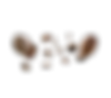 acacaca_edited_edited_edited_edited.png