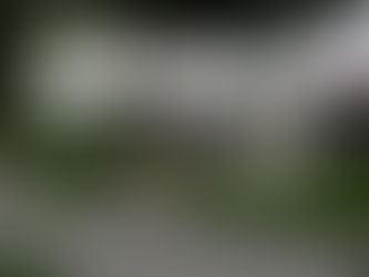 Nouvelle Zélande: Nelson et environs