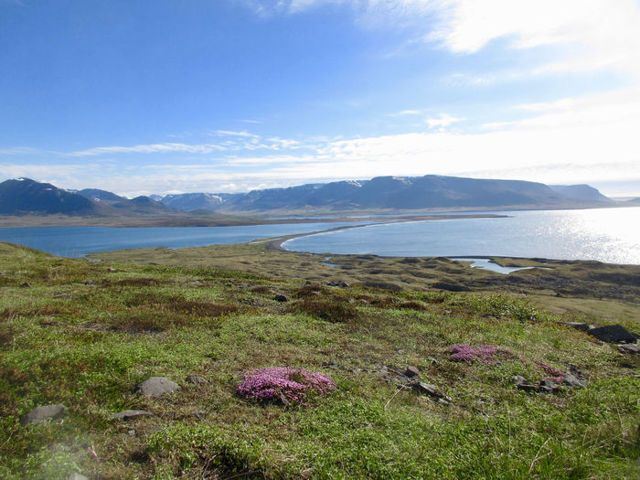 Islande: région d'Akureyri et île Grimsey