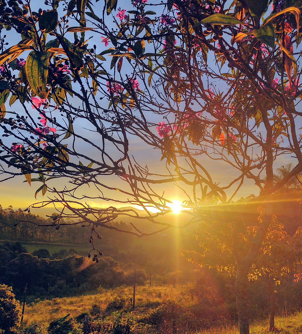 Você tem que aprender olhar através para aproveitar a paisagem. Tem que aprender olhar para além da dor para ver que seguir, é uma possibilidade.