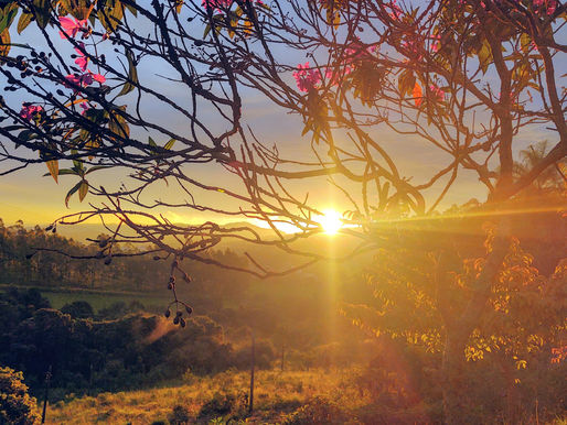 Você tem que aprender olhar através para aproveitar a paisagem.
