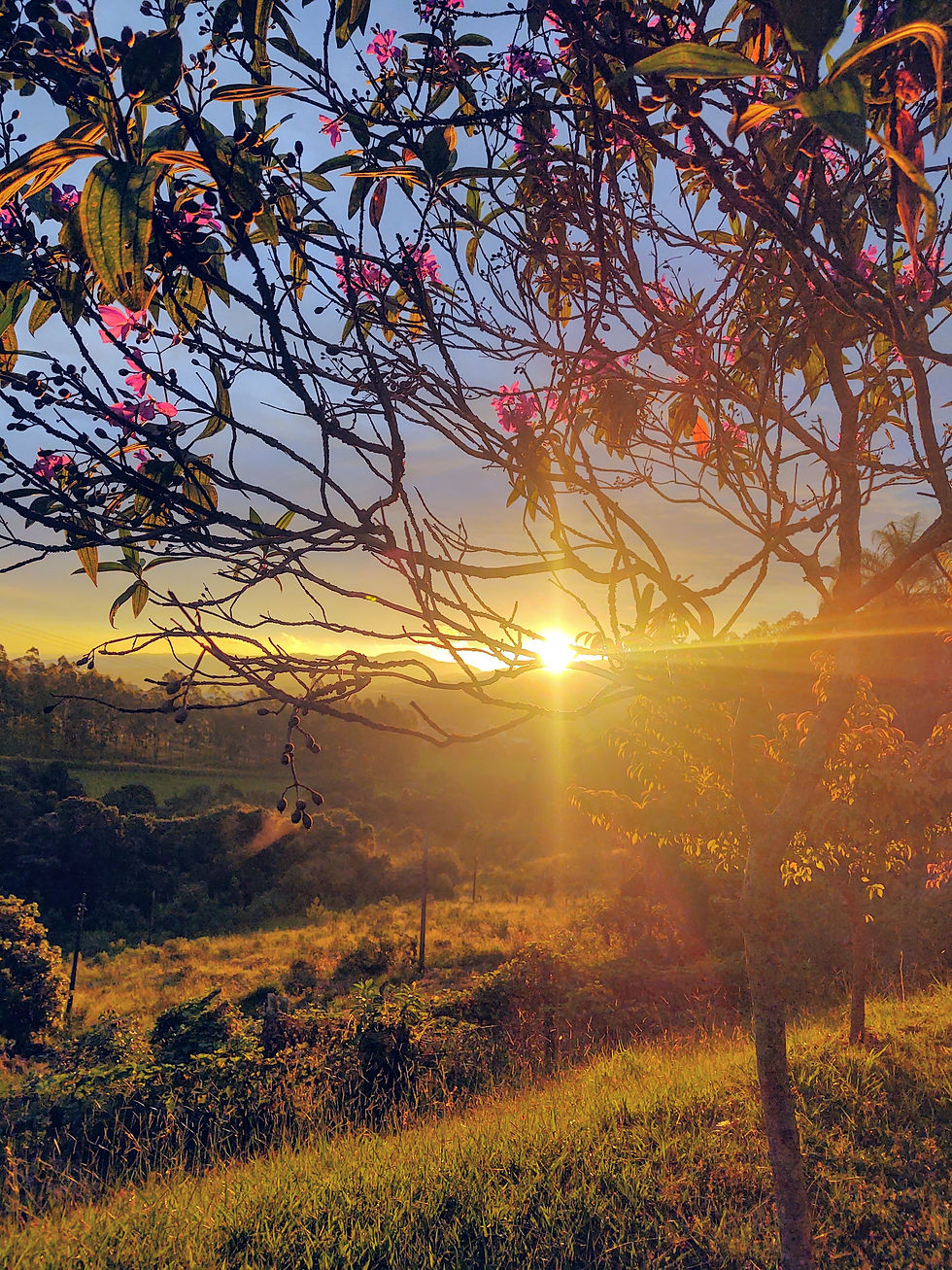 Você tem que aprender olhar através para aproveitar a paisagem.
