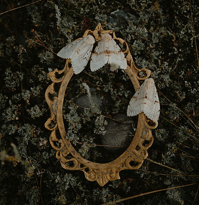 Past life regression hypnotherapy