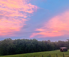 Farm sunset