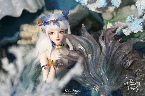 Asleep Eidolon Snow Pear2020 弾む