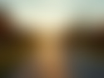 Join Our Exciting Endurance Races Across Massachusetts