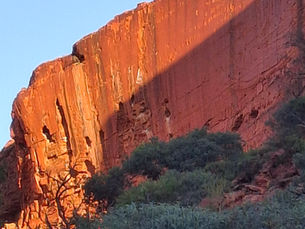 Kings Creek Walk - The Joy of Missing Out
