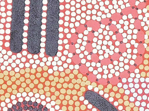 Impactful Souvenir Guide for Central Australia