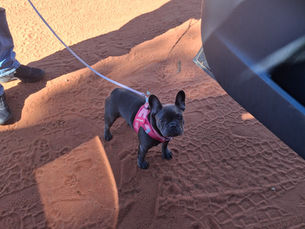 Epic Uluru camping fail with Lady!