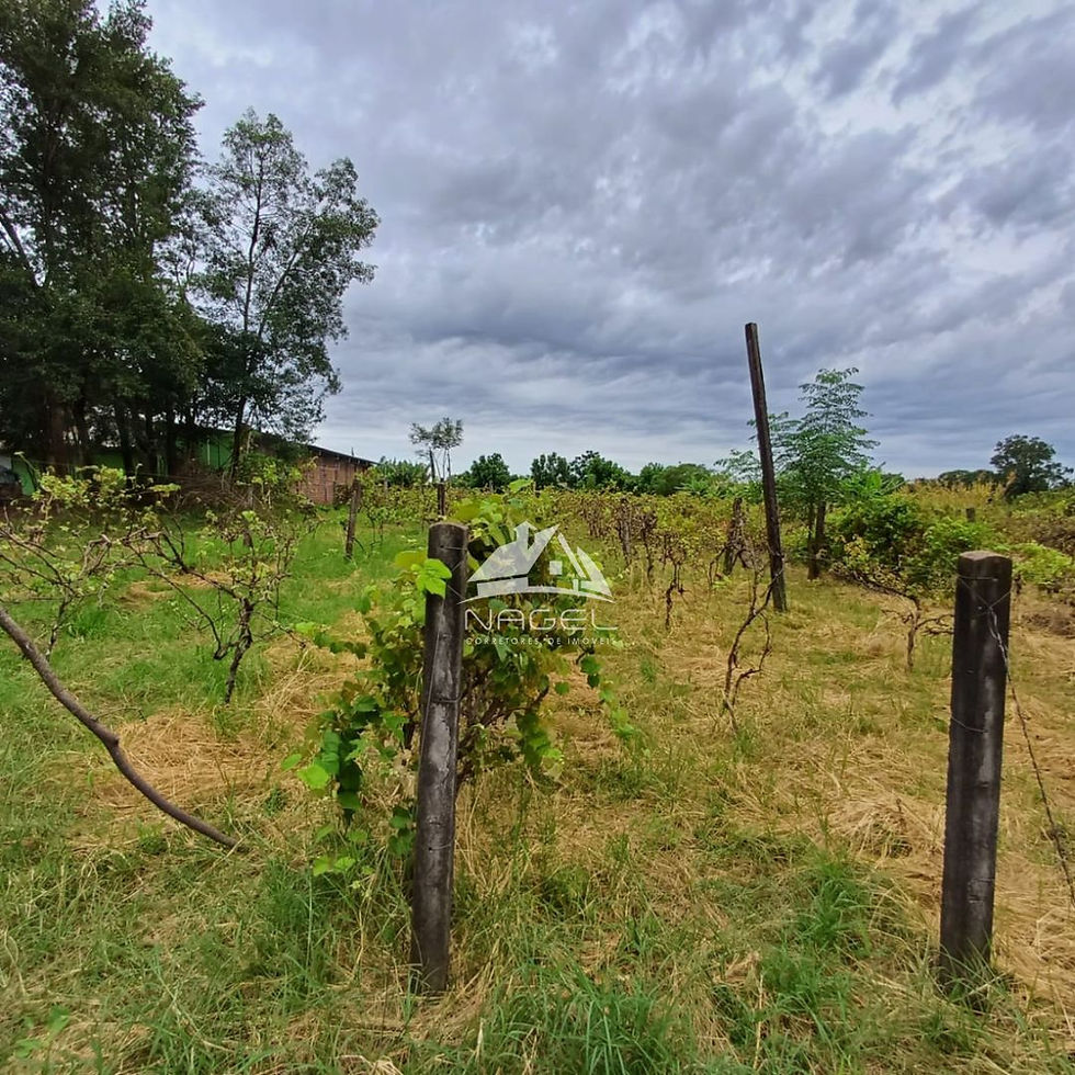 Miniatura: Chácara de 3000m² na Zona Fokink