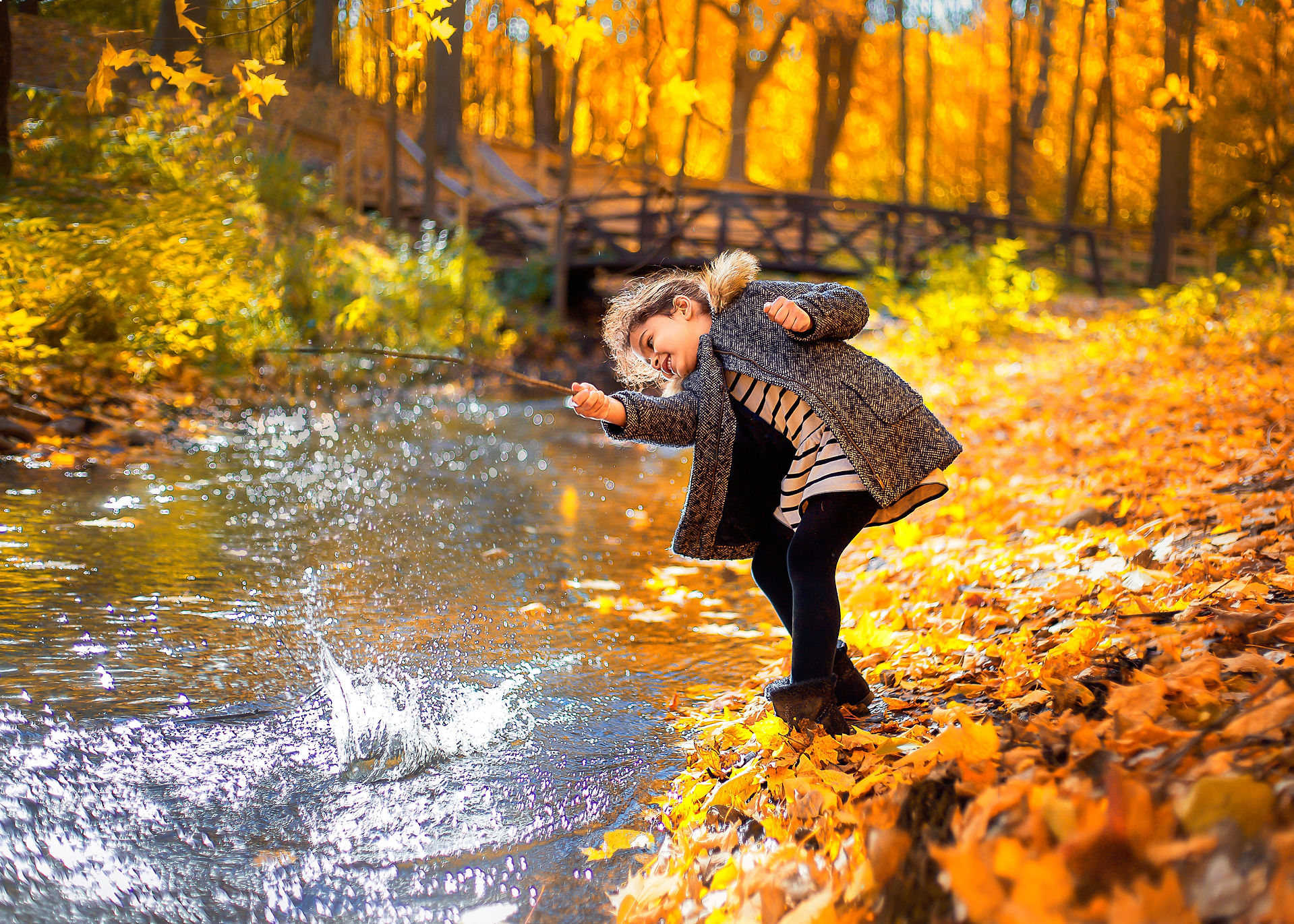 Fall photo session by Twin Cities Child Family photographer Taru Chhaya at Plymouth Creek park Minnesota with a wood bridge in yellow maple trees. The girl is wearing a Gap wool coat and ham stripe dress and splashing water from the creek with a twig.