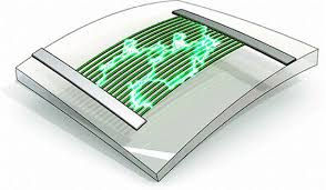 Flexible Piezoelectric Paper