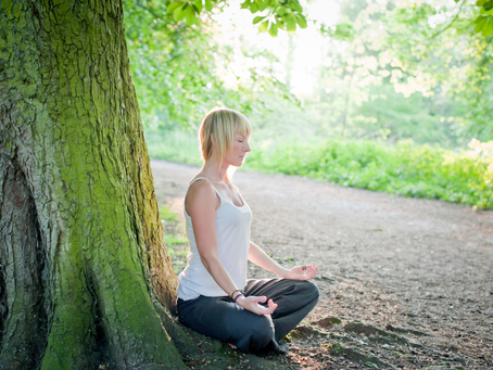 Das Geheimnis für ein gesundes Leben und Immunität