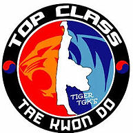 Tiger Kyong's Top Class Taekwondo