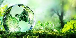Green Globe.jpeg