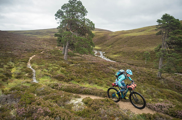 Wilcze Szlaki gdański klub Rowerowy (29
