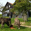 Foto van schrijver: Hoeve Schoonzicht