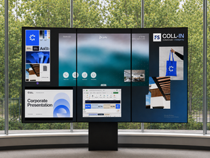 Poly Studio window working inside FS COLL-IN Workspace