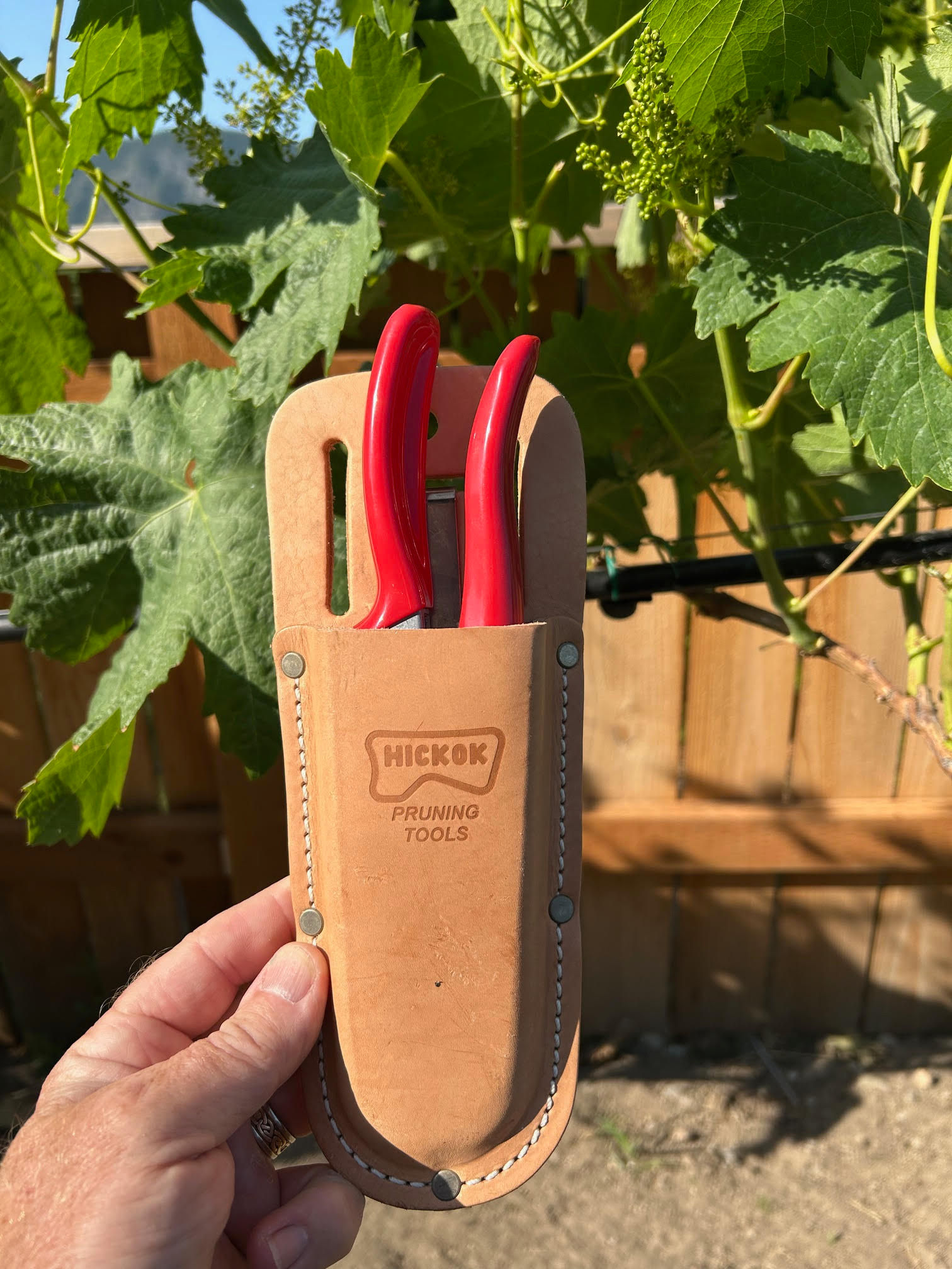 Tool case with belt clip