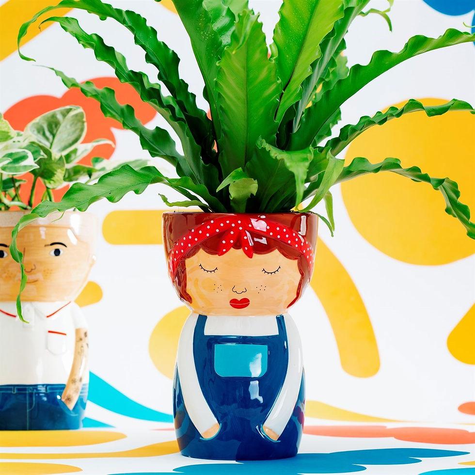 Unusual Gift Shop We Quirky