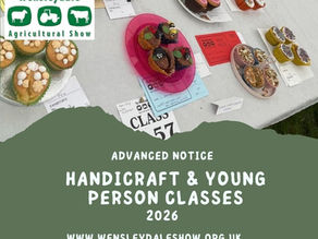 2026 Handicraft & YP Classes
