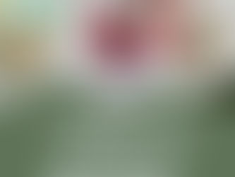 2026 Handicraft & YP Classes