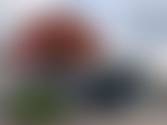 テルゾ山中湖の紅葉