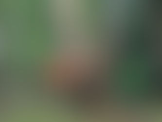 「始めまして!鹿さん」(岡本洋三)