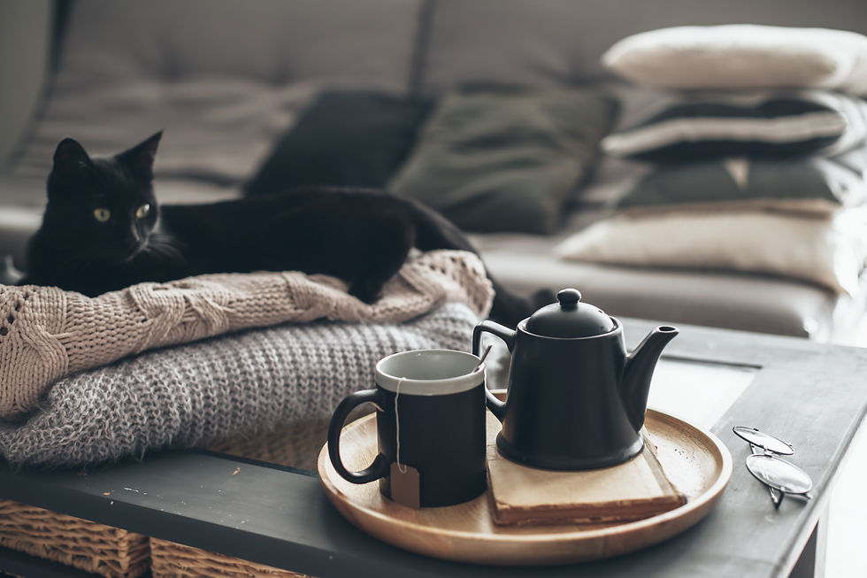 AdobeStock_171934253.jpeg