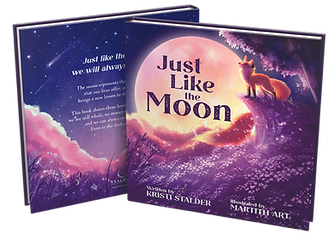 Just Like the Moon book