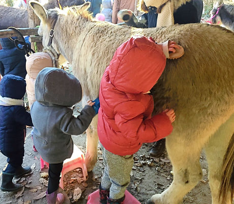 activités enfants