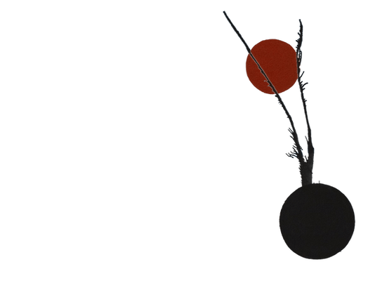 bolas _edited.png
