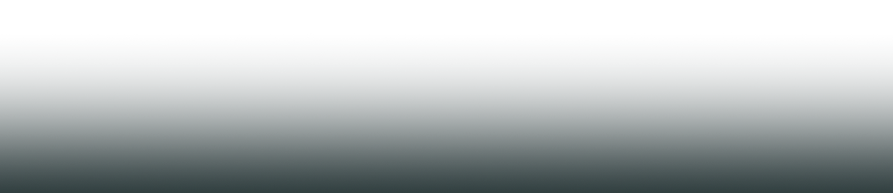 marchi website background.png