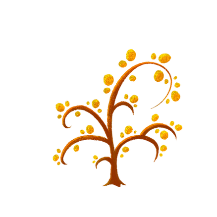 IMG_6792.PNG