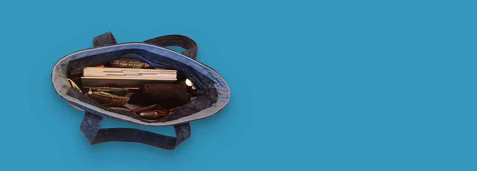 bag-slide copy.jpg