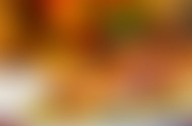 How to have a Green Holiday Season