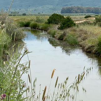 Gialova Lagoon, Peloponnese, Greece