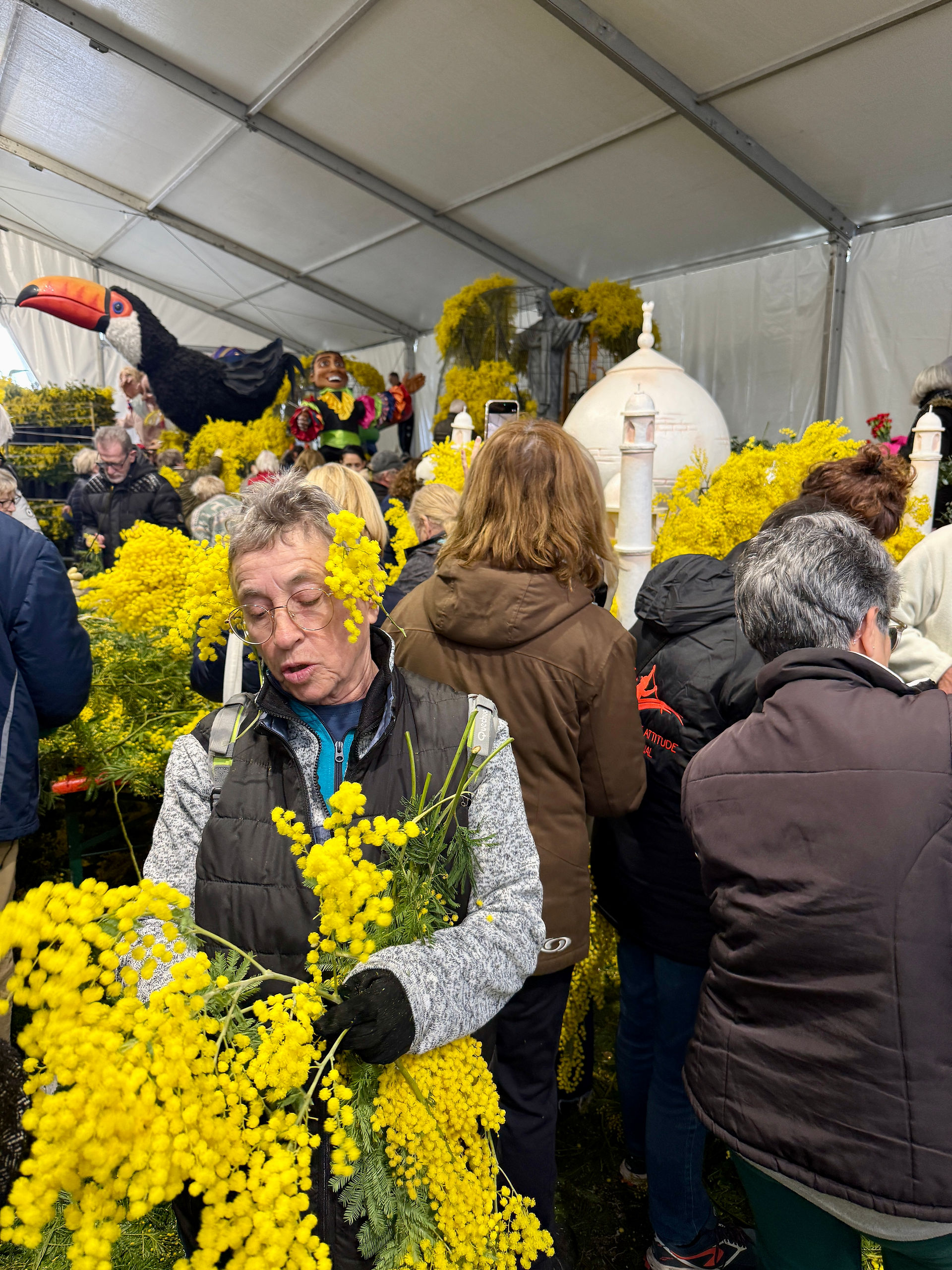 Volunteers helping to decorate the floats for the Fête du Mimosa in Mandelieu-la-Napoule
