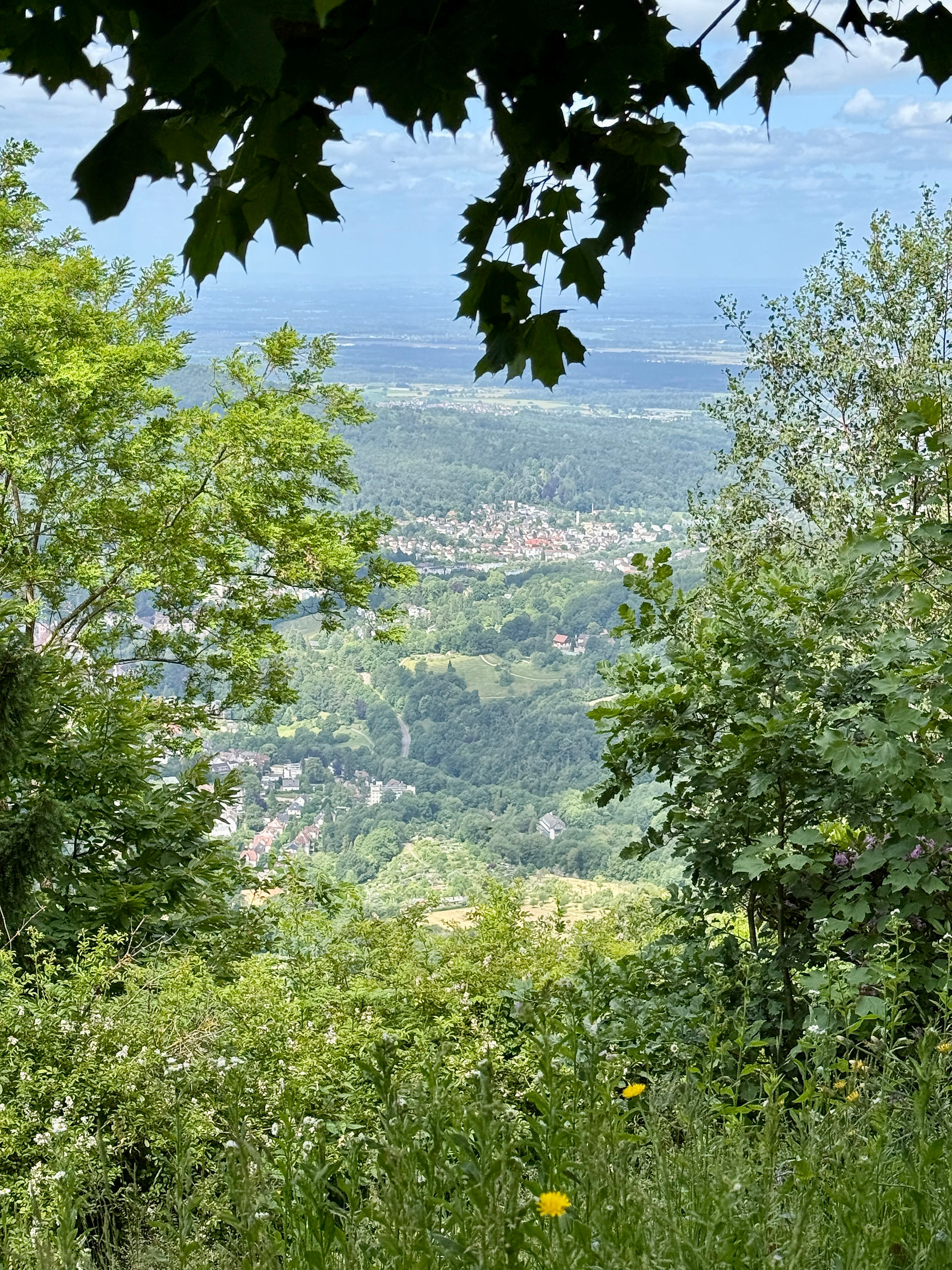 Een schitterend uitzicht op de top van de Merkurberg nabij Baden-Baden, Duitsland