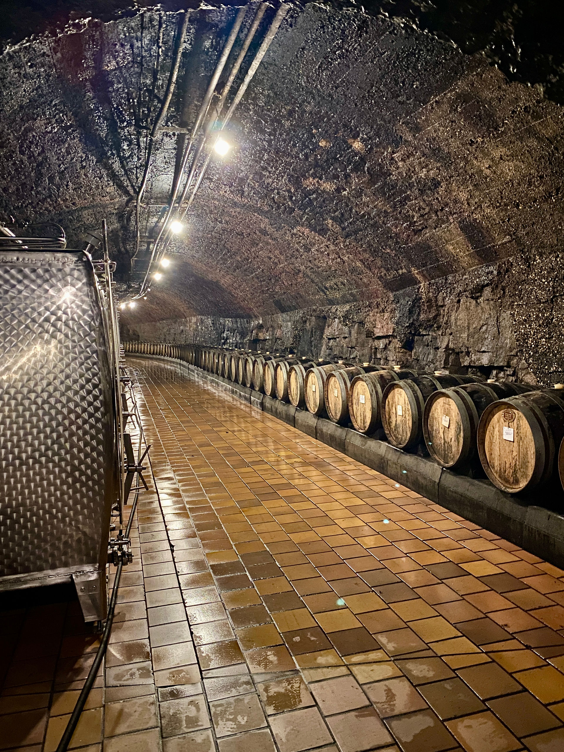 De vaten met heerlijke wijnen die liggen te rijpen in de caves Saint Martin, Luxemburg