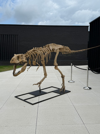 one of the dinosaurs you can find at La Butte aux Bois
