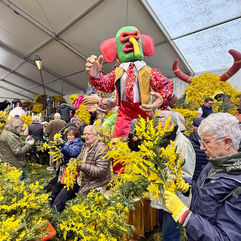 Volunteers helping to decorate the floats for the Fête du Mimosa in Mandelieu-la-Napoule
