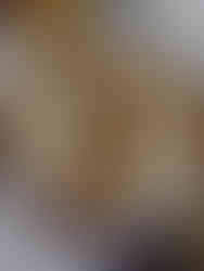 Grilled chicken with vegetables at restaurant Villa Monda in Crowne Plaza Hotel Retiro Madrid