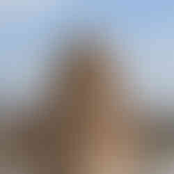 Colosseum of El Jem in Tunisia