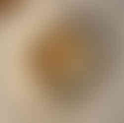 heerlijk voorgerecht van de chef bij Union house Utrecht