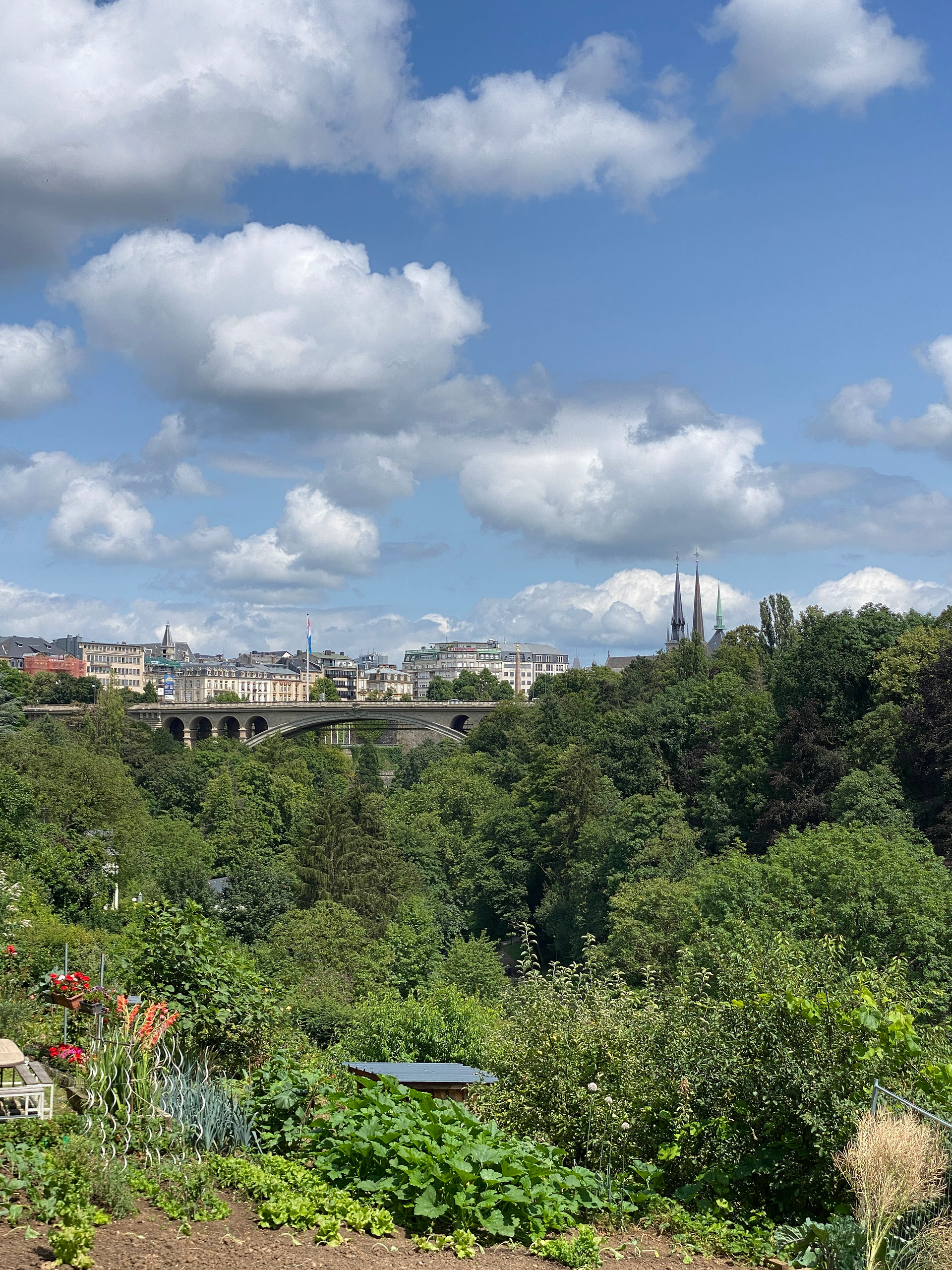 uitzicht op de particuliere tuintjes in Grund, Luxemburg stad