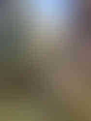 Gorges du Cians, impressive red rocks on the D28 towards Valberg, France