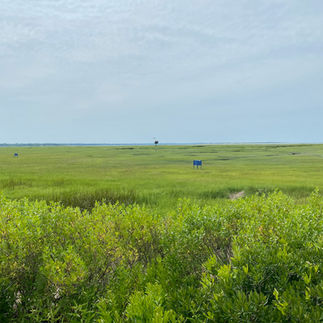 uitzicht op de moerassen vanaf the Marshside op Cape Cod, USA