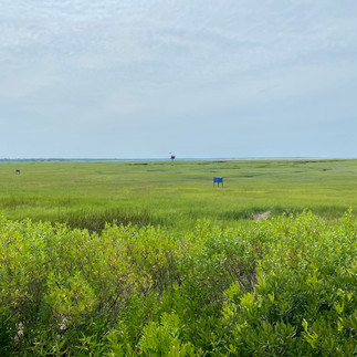 uitzicht op de moerassen vanaf the Marshside op Cape Cod, USA